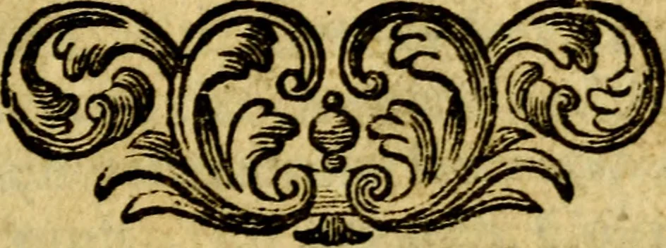 An illustration from Het duyfken in de steen-rotse; dat is, Eene mede-lydende ziele op de bittere passie Jesu Christi mediterende. Gemaekt door eenen Priester der Societeyt Jesu. 8. druck, rycker van stoffe, van beelden en van poësie, 1753, leaf 6