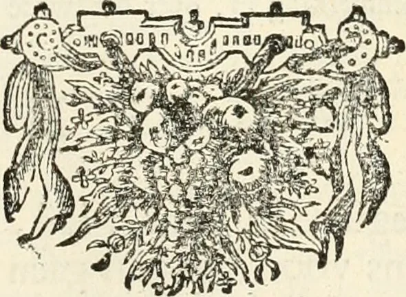 An illustration from Het groot natuur- en zedekundigh werelttoneel, of, Woordenboek van meer dan 1200 aeloude Egiptische, Grieksche en Romeinsche zinnebeelden of beeldenspraek ... : op nieu uit de oirsprongklyke schriften van Cezar Ripa, Zaratino Kastellini, Piërius Valerianus, Horus Apollo en andere ... getrokken in eene alphabetische ordre gebragt, met uitvoerige aenmerkingen en ophelderingen ... door een' ervaren taelen outheitkundigen, hebende voor het overige de uitmuntende dichter, Hubert Korneliszoon Poot dit werk ten opzichte van den text ... in klaer en zuiver Nederduitsch overgeschreven, en achte verscheide zinnebeelden dichtkundige toepassingen gestelt ; met fraeje kunstplaten versiert .., 1743, leaf 418