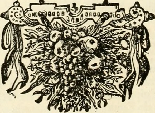An illustration from Het groot natuur- en zedekundigh werelttoneel, of, Woordenboek van meer dan 1200 aeloude Egiptische, Grieksche en Romeinsche zinnebeelden of beeldenspraek ... : op nieu uit de oirsprongklyke schriften van Cezar Ripa, Zaratino Kastellini, Piërius Valerianus, Horus Apollo en andere ... getrokken in eene alphabetische ordre gebragt, met uitvoerige aenmerkingen en ophelderingen ... door een' ervaren taelen outheitkundigen, hebende voor het overige de uitmuntende dichter, Hubert Korneliszoon Poot dit werk ten opzichte van den text ... in klaer en zuiver Nederduitsch overgeschreven, en achte verscheide zinnebeelden dichtkundige toepassingen gestelt ; met fraeje kunstplaten versiert .., 1743, leaf 505
