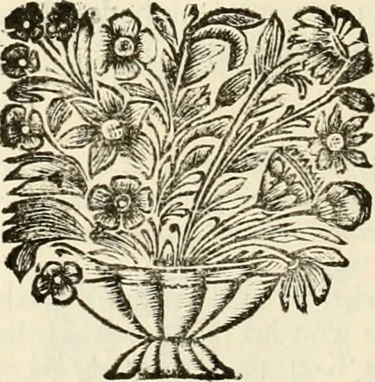 An illustration from Het groot natuur- en zedekundigh werelttoneel, of, Woordenboek van meer dan 1200 aeloude Egiptische, Grieksche en Romeinsche zinnebeelden of beeldenspraek ... : op nieu uit de oirsprongklyke schriften van Cezar Ripa, Zaratino Kastellini, Piërius Valerianus, Horus Apollo en andere ... getrokken in eene alphabetische ordre gebragt, met uitvoerige aenmerkingen en ophelderingen ... door een' ervaren taelen outheitkundigen, hebende voor het overige de uitmuntende dichter, Hubert Korneliszoon Poot dit werk ten opzichte van den text ... in klaer en zuiver Nederduitsch overgeschreven, en achte verscheide zinnebeelden dichtkundige toepassingen gestelt ; met fraeje kunstplaten versiert .., 1743, leaf 81