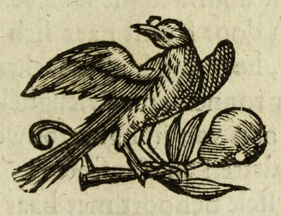 An illustration from Het gulden cabinet vande edel vry schilder const : inhoudende den lof vande vermarste schilders, architecte, beldthowers, ende plaetsnyders, van dese eeuw, 1662, leaf 193