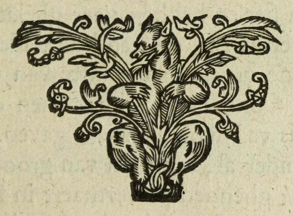 An illustration from Het gulden cabinet vande edel vry schilder const : inhoudende den lof vande vermarste schilders, architecte, beldthowers, ende plaetsnyders, van dese eeuw, 1662, leaf 77