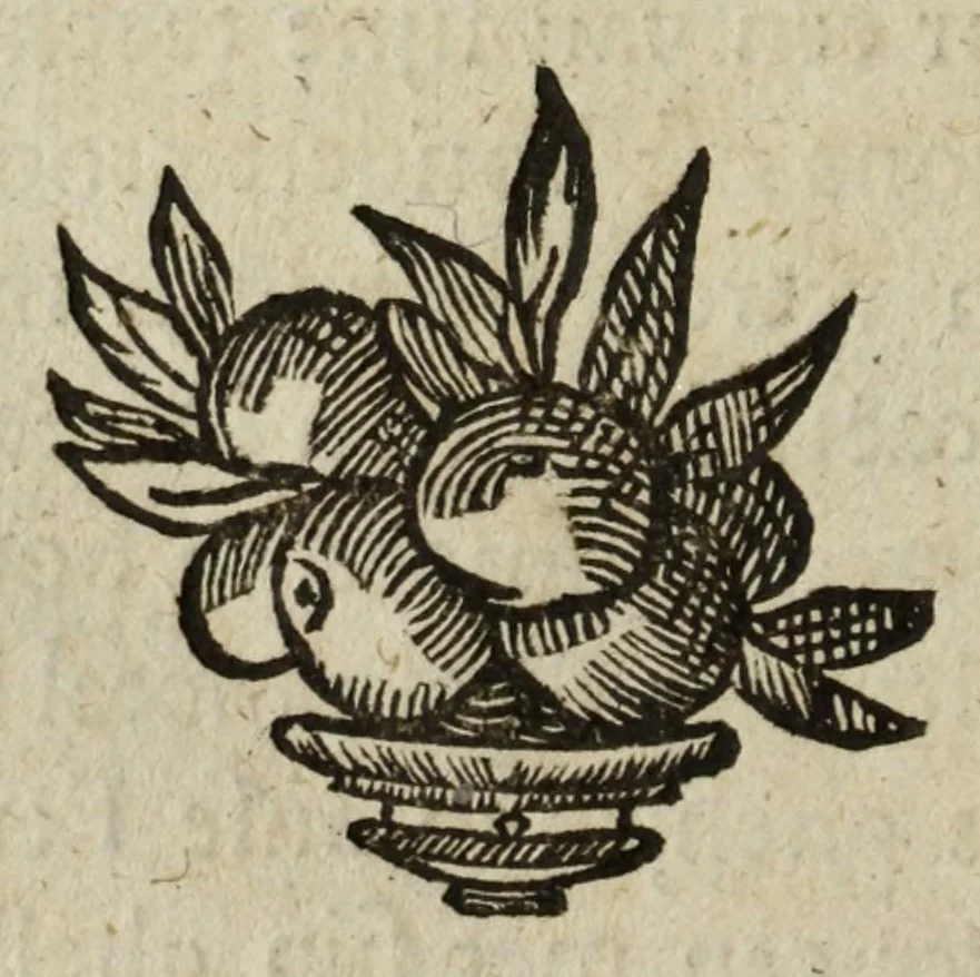 An illustration from Het gulden cabinet vande edel vry schilder const : inhoudende den lof vande vermarste schilders, architecte, beldthowers, ende plaetsnyders, van dese eeuw, 1662, leaf 98