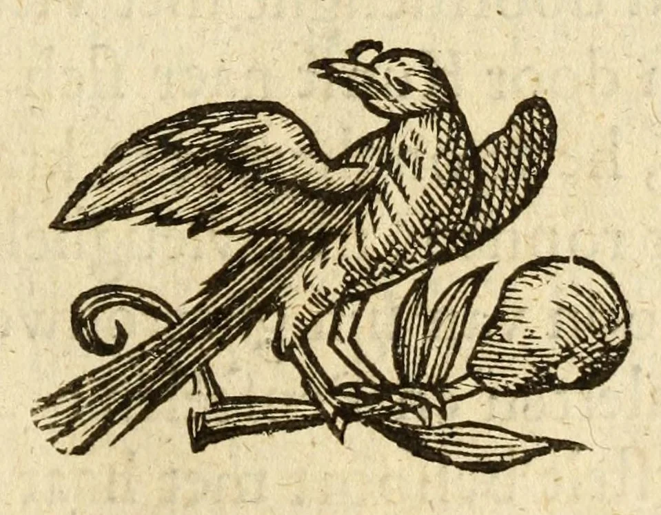 An illustration from Het gulden cabinet van de edele vry schilder-const : ontsloten door den lanck ghewenschten vrede tusschen de twee machtighe croonen van Spaignien en Vrancryck : waer-inne begrepen is den ontsterffe-lijcken loff vande vermaerste constiminnende geesten ende schilders van dese eeuw, hier inne meest naer het leven af-gebeldt, verciert met veel vermakelijcke rijmen ende spreucken, 1662, leaf 201