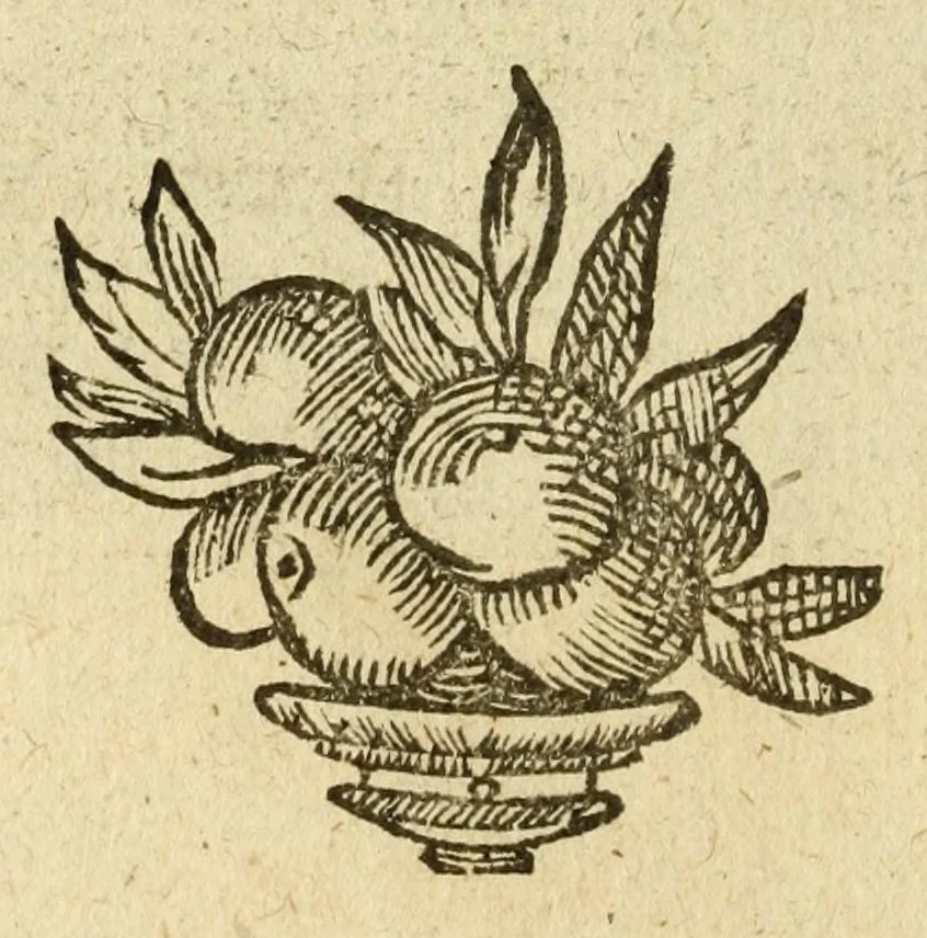 An illustration from Het gulden cabinet van de edele vry schilder-const : ontsloten door den lanck ghewenschten vrede tusschen de twee machtighe croonen van Spaignien en Vrancryck : waer-inne begrepen is den ontsterffe-lijcken loff vande vermaerste constiminnende geesten ende schilders van dese eeuw, hier inne meest naer het leven af-gebeldt, verciert met veel vermakelijcke rijmen ende spreucken, 1662, leaf 54