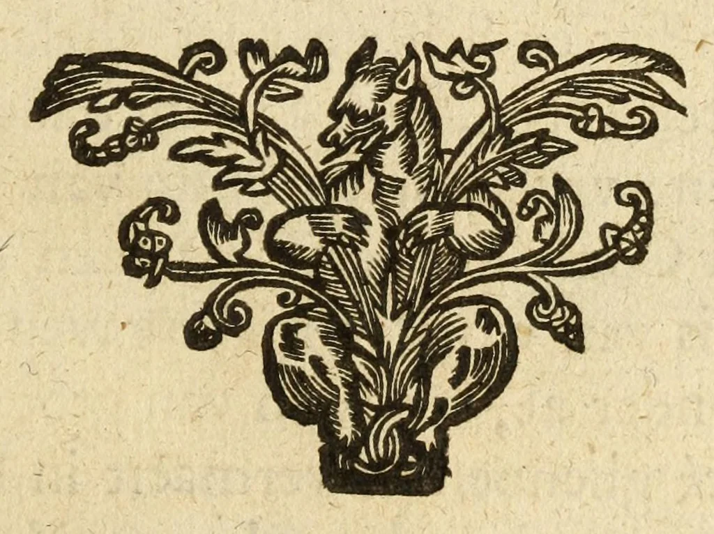 An illustration from Het gulden cabinet van de edele vry schilder-const : ontsloten door den lanck ghewenschten vrede tusschen de twee machtighe croonen van Spaignien en Vrancryck : waer-inne begrepen is den ontsterffe-lijcken loff vande vermaerste constiminnende geesten ende schilders van dese eeuw, hier inne meest naer het leven af-gebeldt, verciert met veel vermakelijcke rijmen ende spreucken, 1662, leaf 81