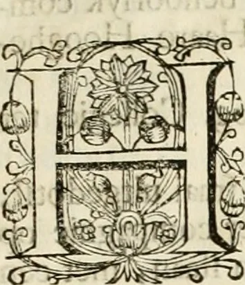 An illustration from Het juichend Friesland, ofte, Kort verhaal van de blyde inkomst van den alderdoorluchtigsten vorst en heere Willem Carel Hendrik Friso prince van Orange en Nassau ... ende haare koningklyke hoogheid Anna kroon-princesse van Engeland ... : met een beschryvinge van verscheidene keurlyke illuminatien, en de afbeelding van een kostelyk en konstig vuurwerk, 1734, leaf 8