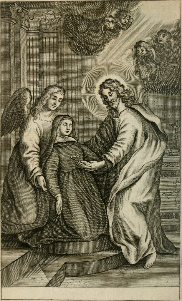 An illustration from Het masker vande wereldt afgetrocken, 1733, leaf 27