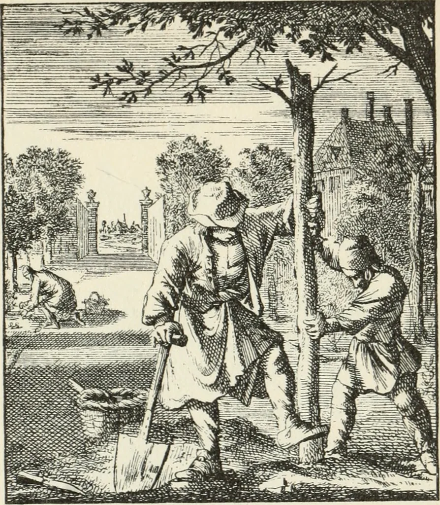 An illustration from Het menselyk bedryf, 1694, leaf 100