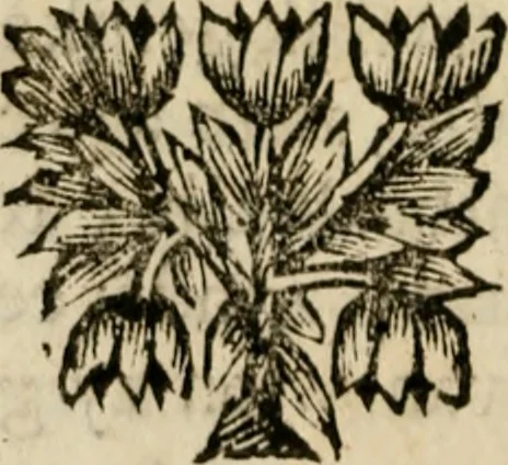 An illustration from Het onbekend en wonderlijk eyland, Utopia, 1700, leaf 19