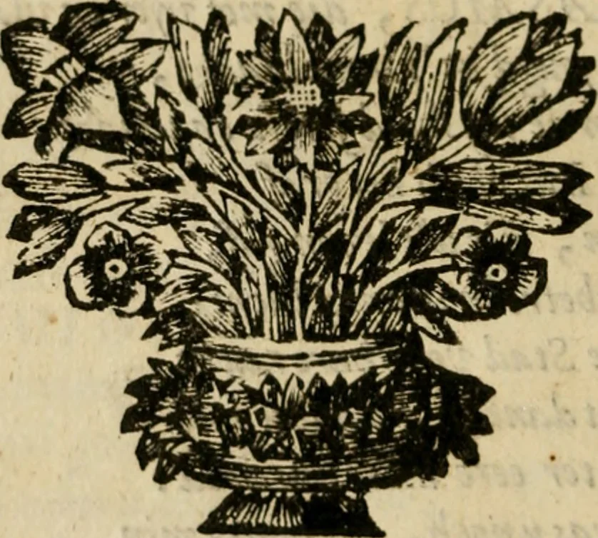 An illustration from Het onbekend en wonderlijk eyland, Utopia, 1700, leaf 23
