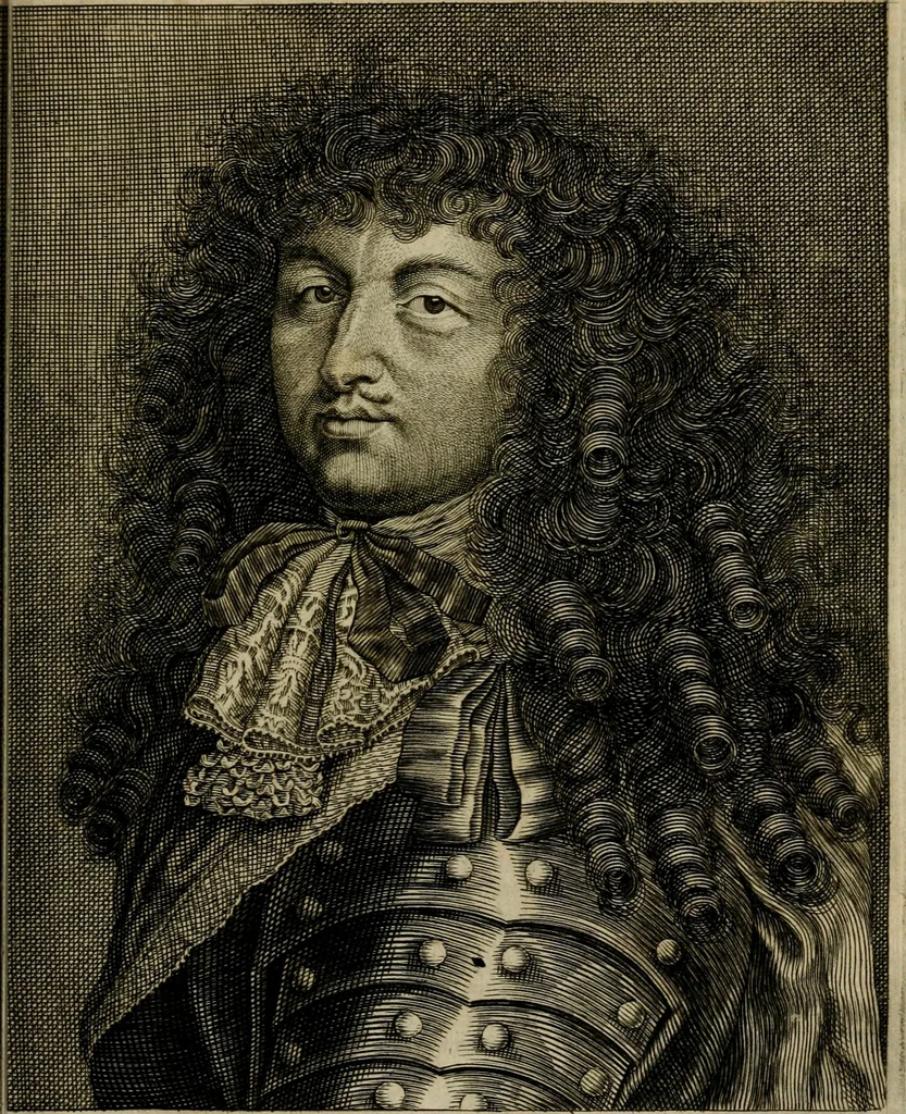 An illustration from Het ontroerde Nederlandt, door de wapenen des konings van Vrankryk : dat is een waarchtigh verhaal van den Fransen, Engelsen, Keulsen, en Munstersen oorlogh, tegen de Vereenigde Nederlanden, met desselfs binnelandtse beroerten ..., 1674, leaf 116