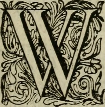 An illustration from Het ontroerde Nederlandt, door de wapenen des konings van Vrankryk : dat is een waarchtigh verhaal van den Fransen, Engelsen, Keulsen, en Munstersen oorlogh, tegen de Vereenigde Nederlanden, met desselfs binnelandtse beroerten ..., 1674, leaf 12