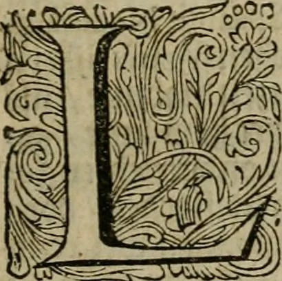 An illustration from Het ontroerde Nederlandt, door de wapenen des konings van Vrankryk : dat is een waarchtigh verhaal van den Fransen, Engelsen, Keulsen, en Munstersen oorlogh, tegen de Vereenigde Nederlanden, met desselfs binnelandtse beroerten ..., 1674, leaf 16