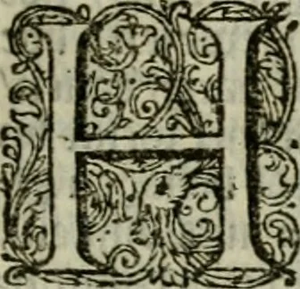 An illustration from Het ontroerde Nederlandt, door de wapenen des konings van Vrankryk : dat is een waarchtigh verhaal van den Fransen, Engelsen, Keulsen, en Munstersen oorlogh, tegen de Vereenigde Nederlanden, met desselfs binnelandtse beroerten ..., 1674, leaf 564