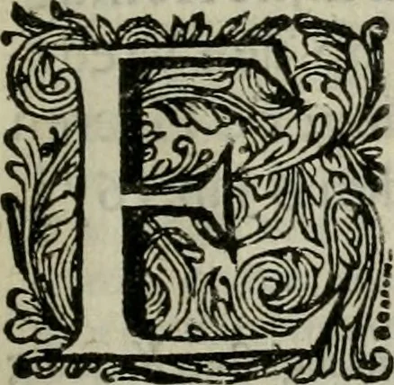 An illustration from Het ontroerde Nederlandt, door de wapenen des konings van Vrankryk : dat is een waarchtigh verhaal van den Fransen, Engelsen, Keulsen, en Munstersen oorlogh, tegen de Vereenigde Nederlanden, met desselfs binnelandtse beroerten ..., 1674, leaf 14