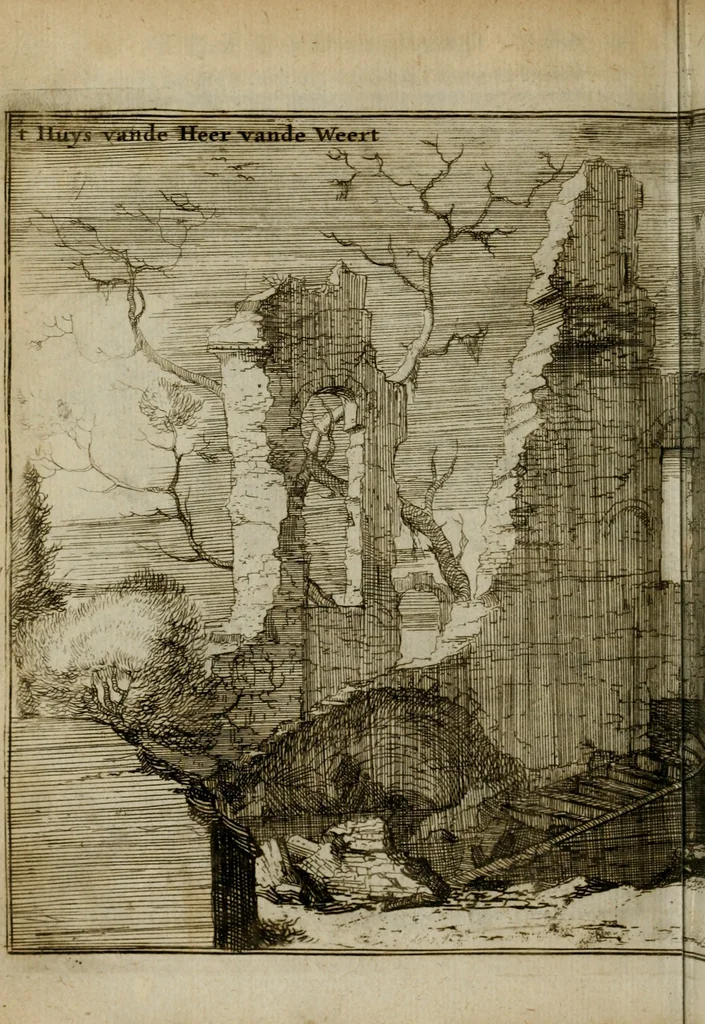 An illustration from Het ontroerde Nederlandt, door de wapenen des konings van Vrankryk : dat is een waarchtigh verhaal van den Fransen, Engelsen, Keulsen, en Munstersen oorlogh, tegen de Vereenigde Nederlanden, met desselfs binnelandtse beroerten ..., 1674, leaf 429