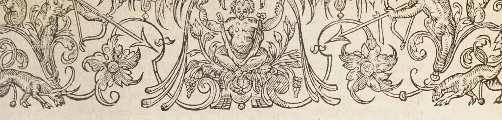 An illustration from Het schilder-boeck, waerin voor eerst de leerlustighe iueght den grondt der edel vry schilderconst in verscheyden deelen wort voorghedraghen. Daer nae in dry deelen t'leuen der vermaerde doorluchtighe schilders des ouden, en nieuwen tyds. Eyntlyck d'wtlegghinghe op den Metamorphoseon Pub. Ouidij Nasonis. Oock daerbeneffens wtbeeldinghe der figueren. Alles dienstich en nut den schilders, constbeminders en dichters, oock allen staten van menschen, 1604, leaf 217