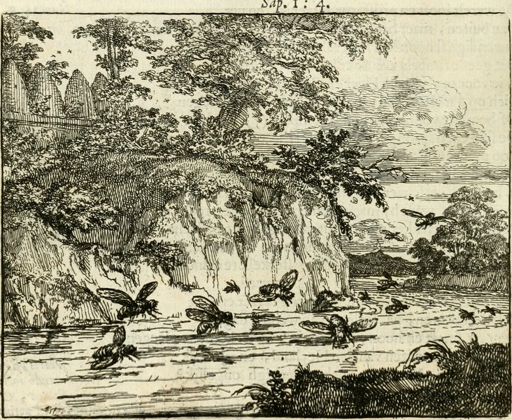 An illustration from Het voorhof der ziele : behangen met leerzaeme prenten en zinnebeelden, 1668, leaf 193