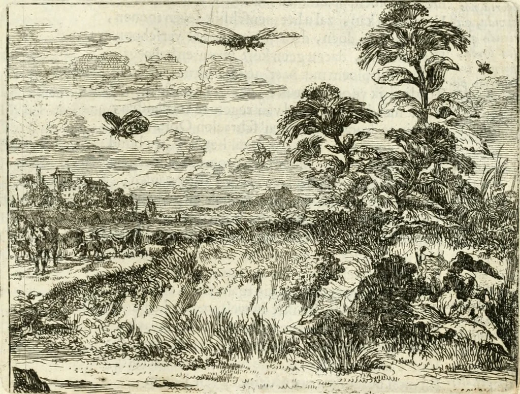 An illustration from Het voorhof der ziele : behangen met leerzaeme prenten en zinnebeelden, 1668, leaf 204