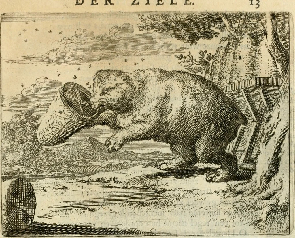 An illustration from Het voorhof der ziele : behangen met leerzaeme prenten en zinnebeelden, 1668, leaf 36