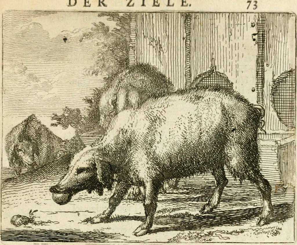 An illustration from Het voorhof der ziele : behangen met leerzaeme prenten en zinnebeelden, 1668, leaf 96
