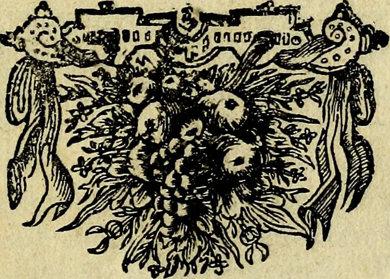 An illustration from Het voorhof der ziele, behangen met leerzaeme prenten en zinnebeelden, 1668, leaf 6