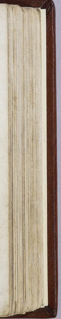 An illustration from Het wonder leven, de kostelycke doodt, met het begrijp der mirakelen, &c. van de H. Rosa de S. Maria, van Lima in Peru, van den derden reghel van den H. Dominicus,, 1668, leaf 177