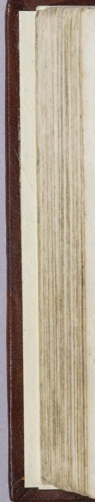 An illustration from Het wonder leven, de kostelycke doodt, met het begrijp der mirakelen, &c. van de H. Rosa de S. Maria, van Lima in Peru, van den derden reghel van den H. Dominicus,, 1668, leaf 198