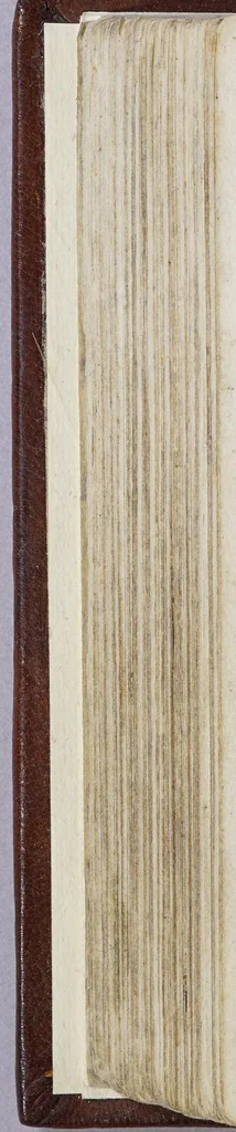 An illustration from Het wonder leven, de kostelycke doodt, met het begrijp der mirakelen, &c. van de H. Rosa de S. Maria, van Lima in Peru, van den derden reghel van den H. Dominicus,, 1668, leaf 286