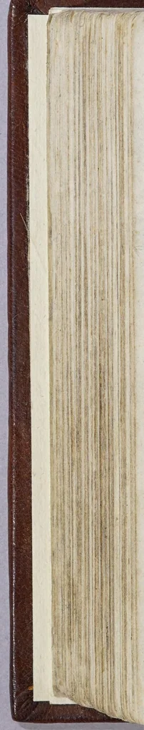 An illustration from Het wonder leven, de kostelycke doodt, met het begrijp der mirakelen, &c. van de H. Rosa de S. Maria, van Lima in Peru, van den derden reghel van den H. Dominicus,, 1668, leaf 334