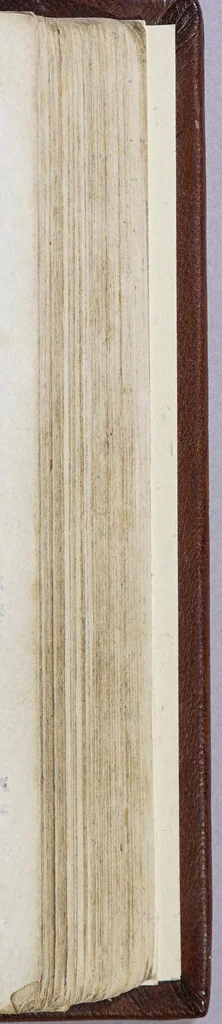 An illustration from Het wonder leven, de kostelycke doodt, met het begrijp der mirakelen, &c. van de H. Rosa de S. Maria, van Lima in Peru, van den derden reghel van den H. Dominicus,, 1668, leaf 355