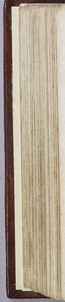 An illustration from Het wonder leven, de kostelycke doodt, met het begrijp der mirakelen, &c. van de H. Rosa de S. Maria, van Lima in Peru, van den derden reghel van den H. Dominicus,, 1668, leaf 386