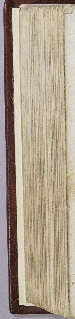 An illustration from Het wonder leven, de kostelycke doodt, met het begrijp der mirakelen, &c. van de H. Rosa de S. Maria, van Lima in Peru, van den derden reghel van den H. Dominicus,, 1668, leaf 508