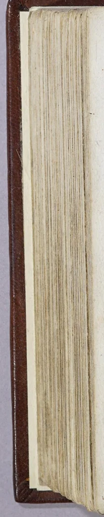 An illustration from Het wonder leven, de kostelycke doodt, met het begrijp der mirakelen, &c. van de H. Rosa de S. Maria, van Lima in Peru, van den derden reghel van den H. Dominicus,, 1668, leaf 604