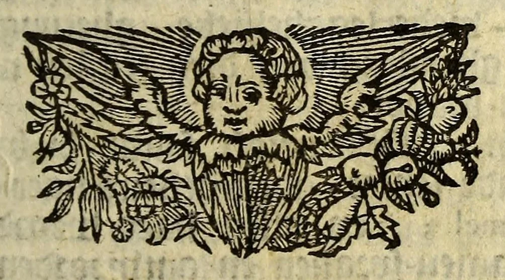 An illustration from Het wonder leven, van de H. Rosa de S. Maria, van Lima in Peru, maghet uyt de Derde Order van den H. Dominicus, : ghebeatificeert door Clemens IX. 12. Febr. 1668. Ghecanonizeert door Clemens X. 12. April 1671., 1671, leaf 109