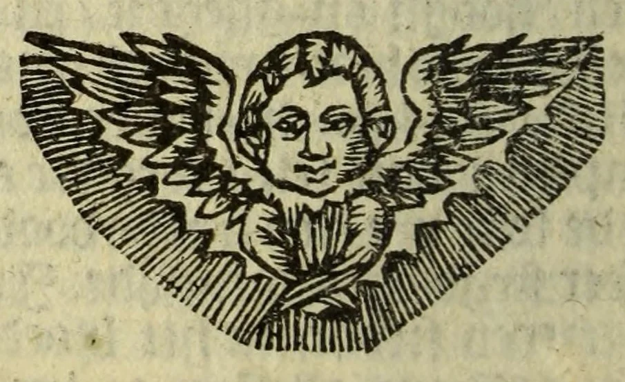 An illustration from Het wonder leven, van de H. Rosa de S. Maria, van Lima in Peru, maghet uyt de Derde Order van den H. Dominicus, : ghebeatificeert door Clemens IX. 12. Febr. 1668. Ghecanonizeert door Clemens X. 12. April 1671., 1671, leaf 144