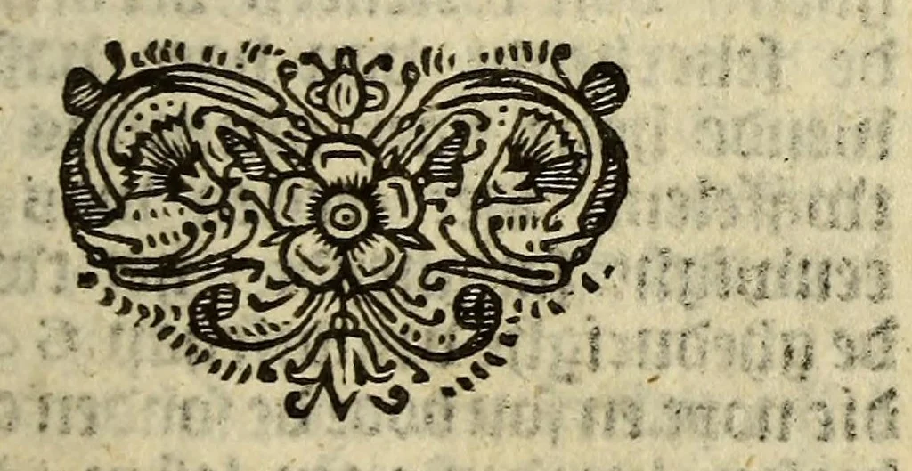 An illustration from Het wonder leven, van de H. Rosa de S. Maria, van Lima in Peru, maghet uyt de Derde Order van den H. Dominicus, : ghebeatificeert door Clemens IX. 12. Febr. 1668. Ghecanonizeert door Clemens X. 12. April 1671., 1671, leaf 155
