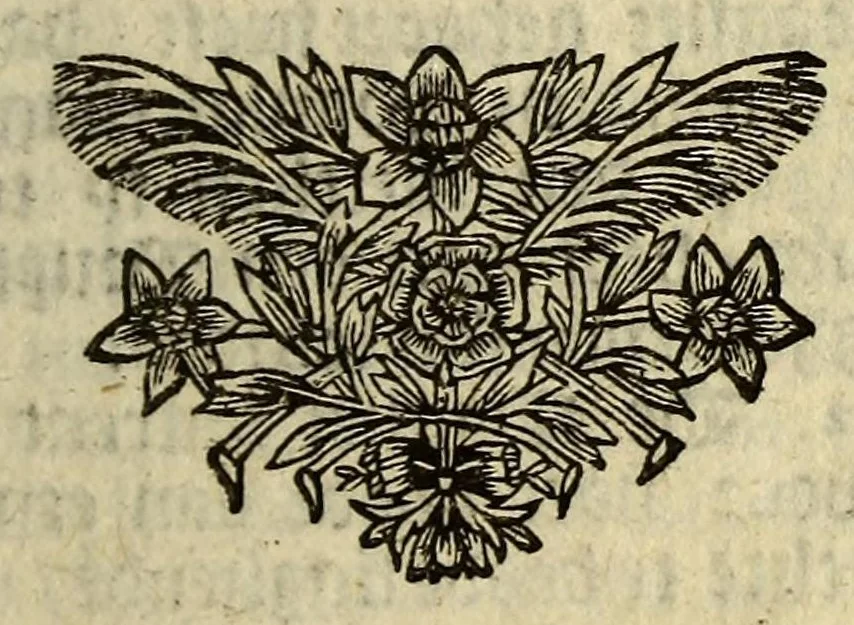 An illustration from Het wonder leven, van de H. Rosa de S. Maria, van Lima in Peru, maghet uyt de Derde Order van den H. Dominicus, : ghebeatificeert door Clemens IX. 12. Febr. 1668. Ghecanonizeert door Clemens X. 12. April 1671., 1671, leaf 171