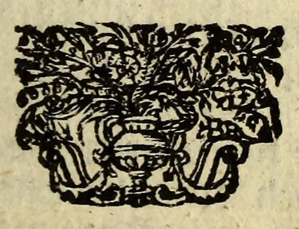 An illustration from Het wonder leven, van de H. Rosa de S. Maria, van Lima in Peru, maghet uyt de Derde Order van den H. Dominicus, : ghebeatificeert door Clemens IX. 12. Febr. 1668. Ghecanonizeert door Clemens X. 12. April 1671., 1671, leaf 189