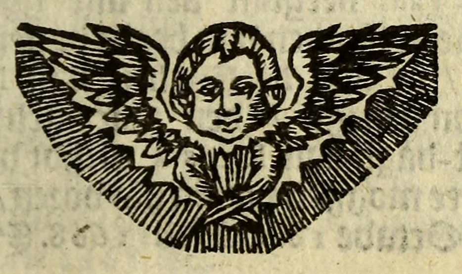 An illustration from Het wonder leven, van de H. Rosa de S. Maria, van Lima in Peru, maghet uyt de Derde Order van den H. Dominicus, : ghebeatificeert door Clemens IX. 12. Febr. 1668. Ghecanonizeert door Clemens X. 12. April 1671., 1671, leaf 223