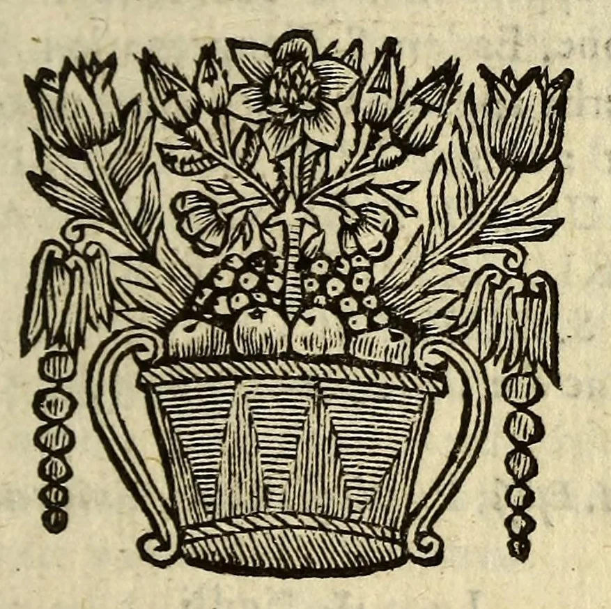 An illustration from Het wonder leven, van de H. Rosa de S. Maria, van Lima in Peru, maghet uyt de Derde Order van den H. Dominicus, : ghebeatificeert door Clemens IX. 12. Febr. 1668. Ghecanonizeert door Clemens X. 12. April 1671., 1671, leaf 233