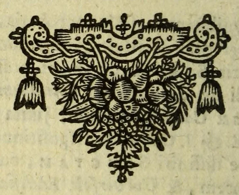 An illustration from Het wonder leven, van de H. Rosa de S. Maria, van Lima in Peru, maghet uyt de Derde Order van den H. Dominicus, : ghebeatificeert door Clemens IX. 12. Febr. 1668. Ghecanonizeert door Clemens X. 12. April 1671., 1671, leaf 244