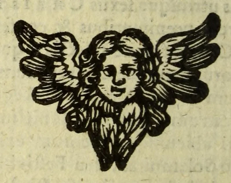 An illustration from Het wonder leven, van de H. Rosa de S. Maria, van Lima in Peru, maghet uyt de Derde Order van den H. Dominicus, : ghebeatificeert door Clemens IX. 12. Febr. 1668. Ghecanonizeert door Clemens X. 12. April 1671., 1671, leaf 256