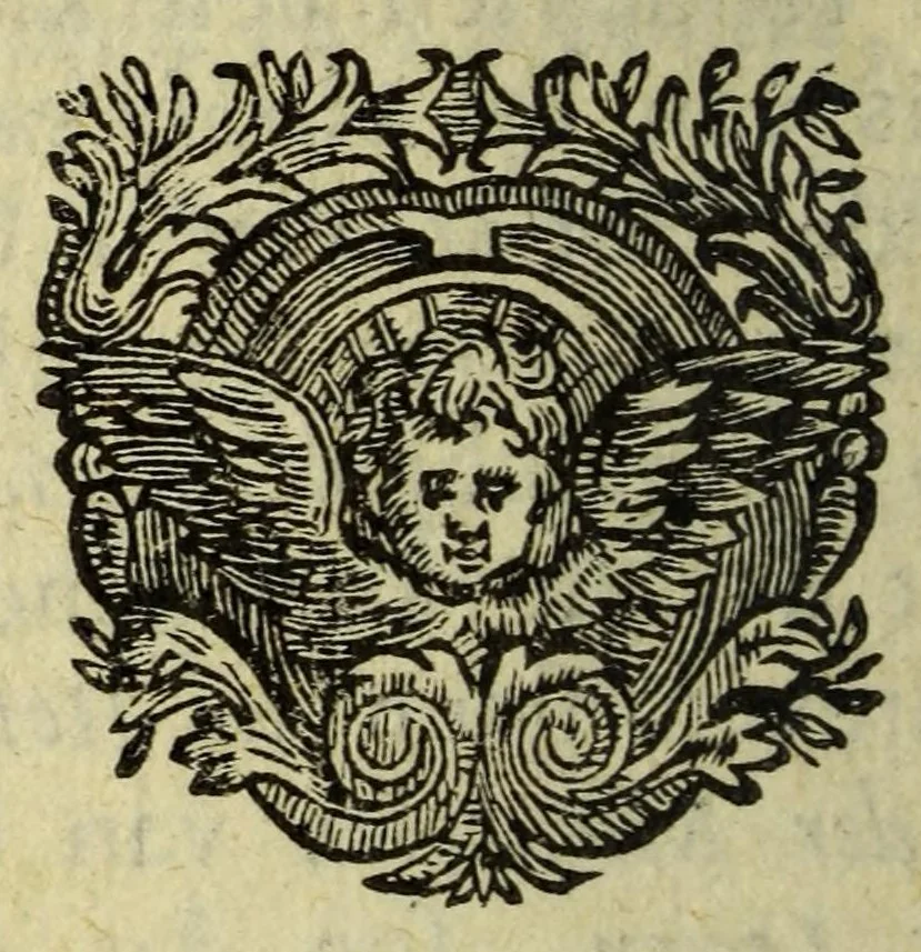 An illustration from Het wonder leven, van de H. Rosa de S. Maria, van Lima in Peru, maghet uyt de Derde Order van den H. Dominicus, : ghebeatificeert door Clemens IX. 12. Febr. 1668. Ghecanonizeert door Clemens X. 12. April 1671., 1671, leaf 266