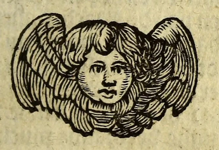 An illustration from Het wonder leven, van de H. Rosa de S. Maria, van Lima in Peru, maghet uyt de Derde Order van den H. Dominicus, : ghebeatificeert door Clemens IX. 12. Febr. 1668. Ghecanonizeert door Clemens X. 12. April 1671., 1671, leaf 277
