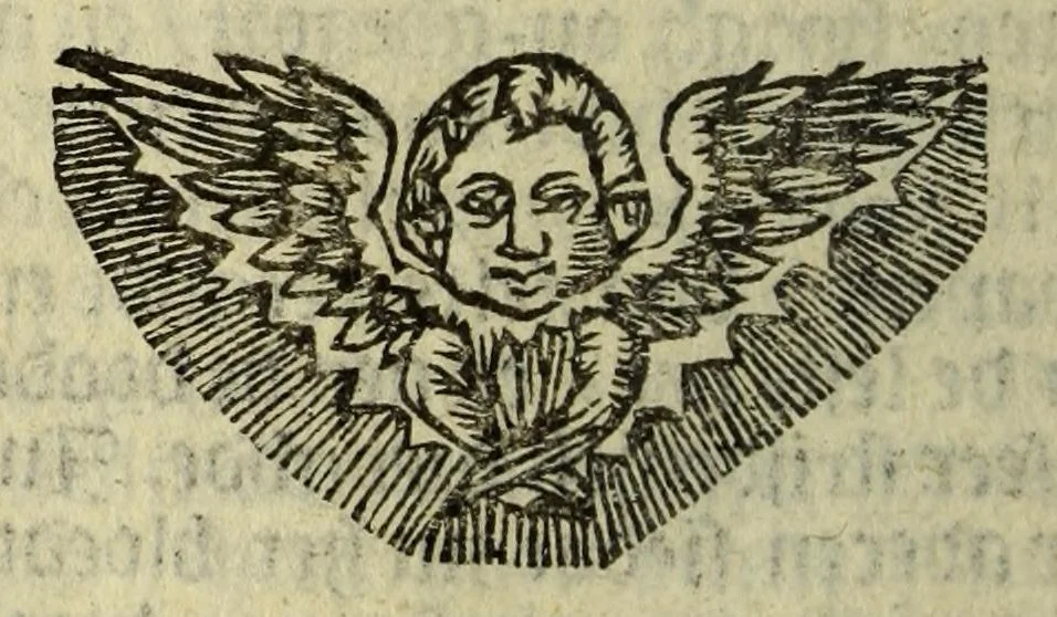 An illustration from Het wonder leven, van de H. Rosa de S. Maria, van Lima in Peru, maghet uyt de Derde Order van den H. Dominicus, : ghebeatificeert door Clemens IX. 12. Febr. 1668. Ghecanonizeert door Clemens X. 12. April 1671., 1671, leaf 146