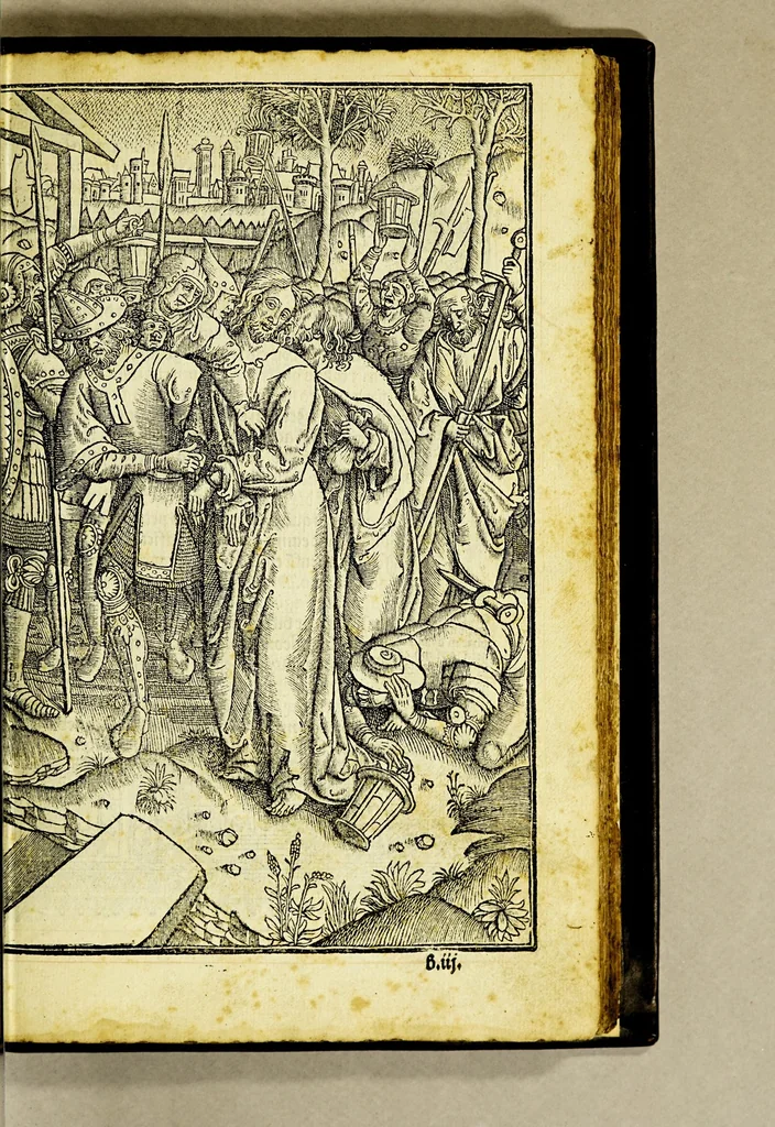An illustration from [Heures a lusaige de Troyes], 1515, leaf 21