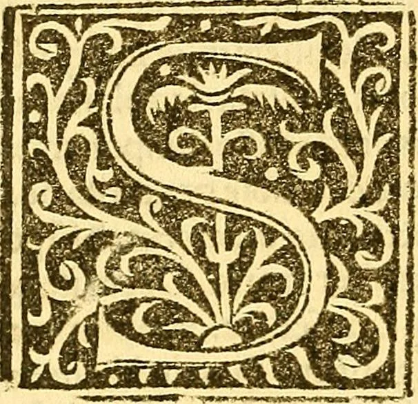 An illustration from Heus lector amice Galeotii Martii Narnie[n]sis Homo lecturie[n]ti tibi duobus libris exteriorib[us] me[m]bris, i[n]terioribusq[ue] co[n]stabat i[n]teger ... Georgii Merulae in De homine librum ... rursus i[n] Georgii scripta Galeotti Refutatio i[n]geniosa .., 1517, leaf 111