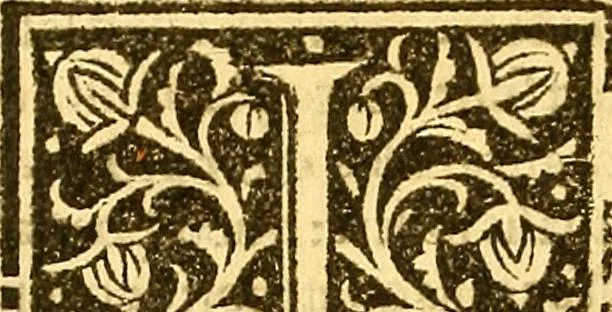 An illustration from Heus lector amice Galeotii Martii Narnie[n]sis Homo lecturie[n]ti tibi duobus libris exteriorib[us] me[m]bris, i[n]terioribusq[ue] co[n]stabat i[n]teger ... Georgii Merulae in De homine librum ... rursus i[n] Georgii scripta Galeotti Refutatio i[n]geniosa .., 1517, leaf 161